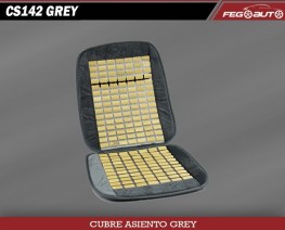 CS142-GREY-FEGOAUTO